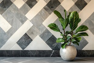 几何瓷砖旁的绿植盆栽