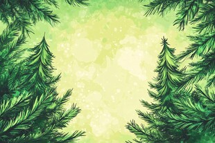 翠绿松枝边框背景图