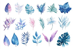 水彩风多彩植物叶片素材