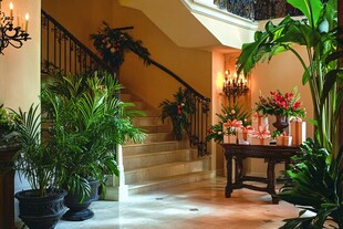 优雅室内楼梯处的绿植装饰