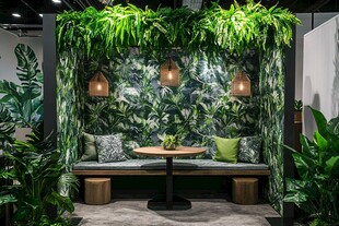 室内绿植休闲角落空间