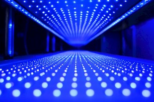 梦幻蓝调灯光通道场景