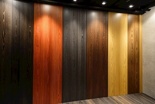 多样木质墙面展示