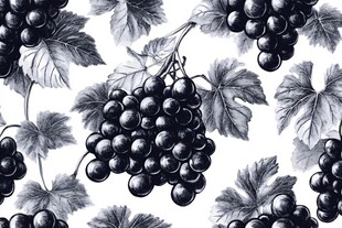 葡萄枝叶黑白手绘图案