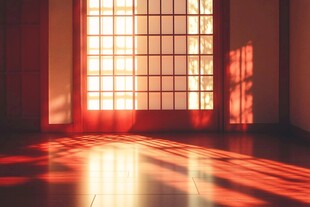 阳光透过窗洒入静谧房间