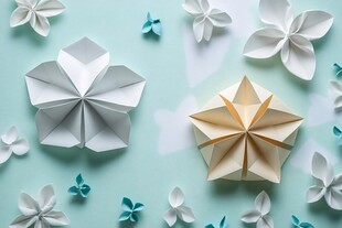 折纸花朵艺术展示