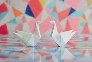 折纸天鹅 多彩几何背景