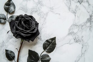 黑玫瑰置于大理石背景上