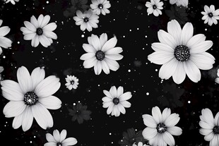 黑白雏菊背景图案