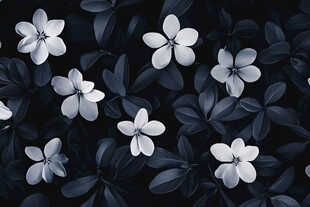 黑白花卉图案背景纹理