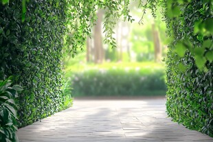 绿荫幽径 开启自然之旅