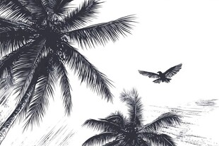 椰树间飞鸟的写意景象