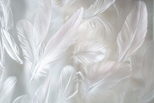 轻盈白羽 梦幻羽毛背景