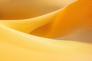 金色沙丘纹理 绝美风光