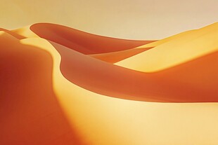 金色沙丘的壮丽风光