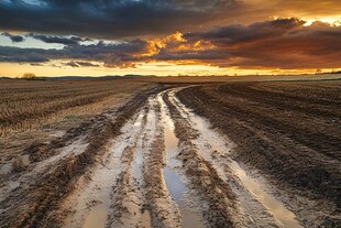 黄昏下泥泞田野中的小路