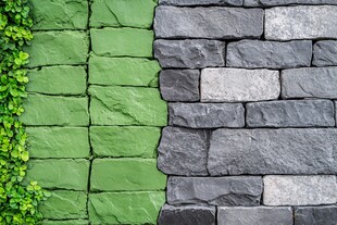 绿灰石墙与攀缘绿植