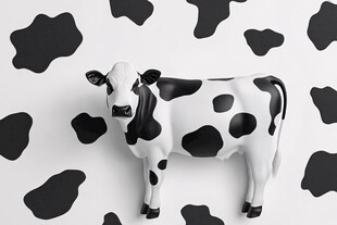黑白奶牛摆件与斑点背景