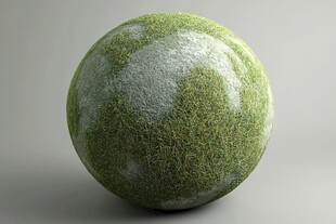 绿白相间的毛绒圆球