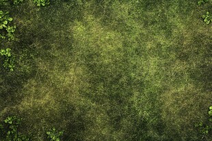 翠绿草地与零星绿植背景