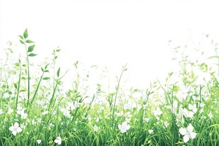 春日绿草白花清新景致