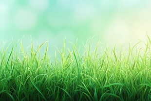 嫩绿青草背景图