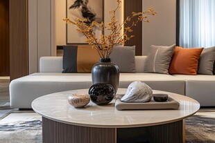 现代雅致客厅茶几装饰景
