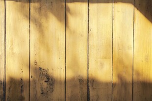 阳光洒落的老旧木质墙面