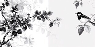 黑白花鸟图