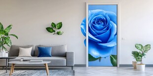 蓝玫瑰装点的温馨客厅空间