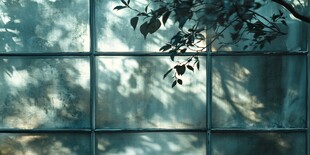 透过玻璃的光影树叶景致