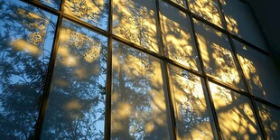 夕阳透过窗棂洒下光影