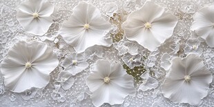 白色花朵与晶莹碎物的景致