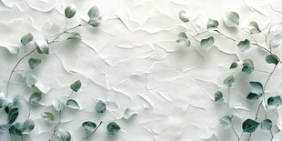 白色背景上的清新桉树叶