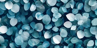 蓝绿色桉树叶纹理背景