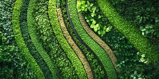 绿色植物墙的优美曲线