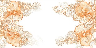 橙色花卉蕾丝边框图案