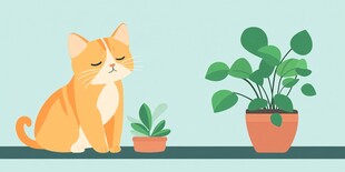 橘猫与绿植的温馨小景