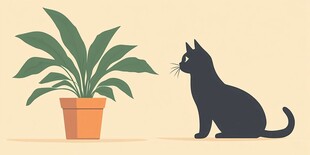 黑猫凝视绿植的温馨瞬间