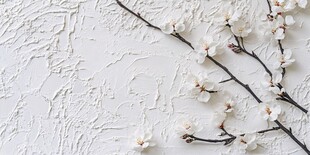 白色墙面上的素雅花枝