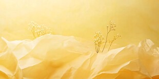 黄色褶皱纸间的素雅小花