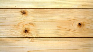 浅色松木木板纹理特写