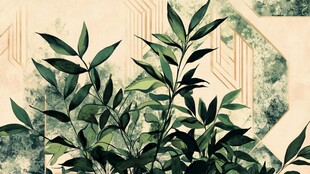 水墨风绿植装饰图案背景