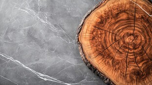 大理石上的精美树桩切面