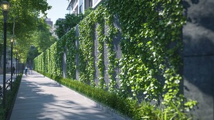 绿意盎然的城市藤蔓步道