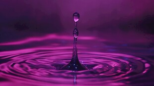 紫色水滴落下泛起涟漪