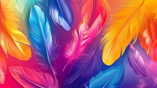 绚丽多彩羽毛背景图案