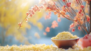 春日米香与繁花共赏