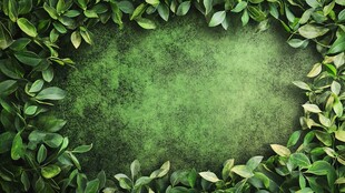 绿叶环绕的绿色背景纹理