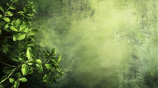 绿叶朦胧背景图